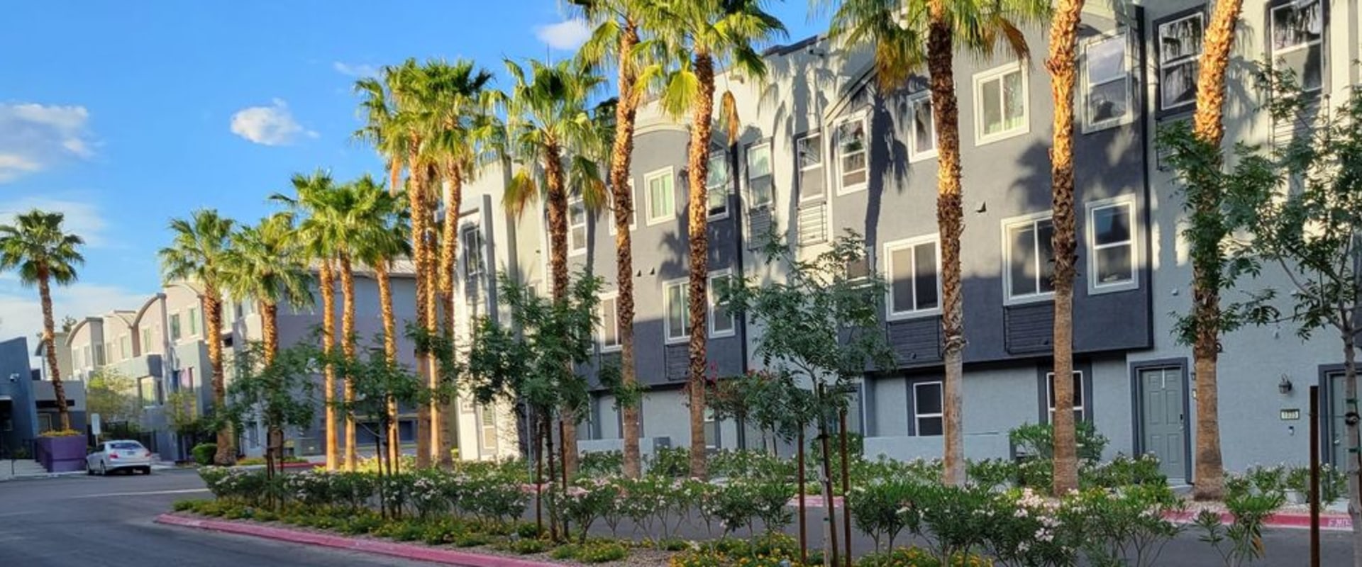 How Exterminators Enhance Quality Of Life For Senior Living Communities In Paradise, NV