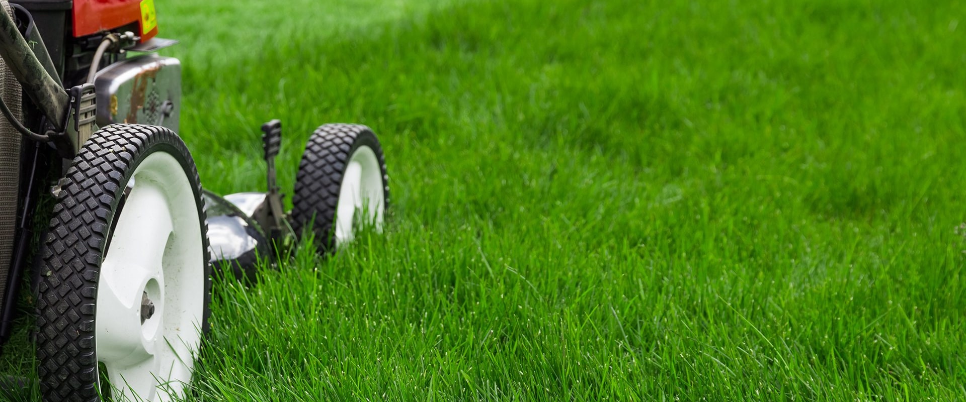 How Cutting Grass Services Can Improve Wellbeing In Northern Virginia Senior Living Communities