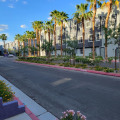 How Exterminators Enhance Quality Of Life For Senior Living Communities In Paradise, NV