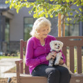 Pets in Senior Living Communities: What You Need to Know